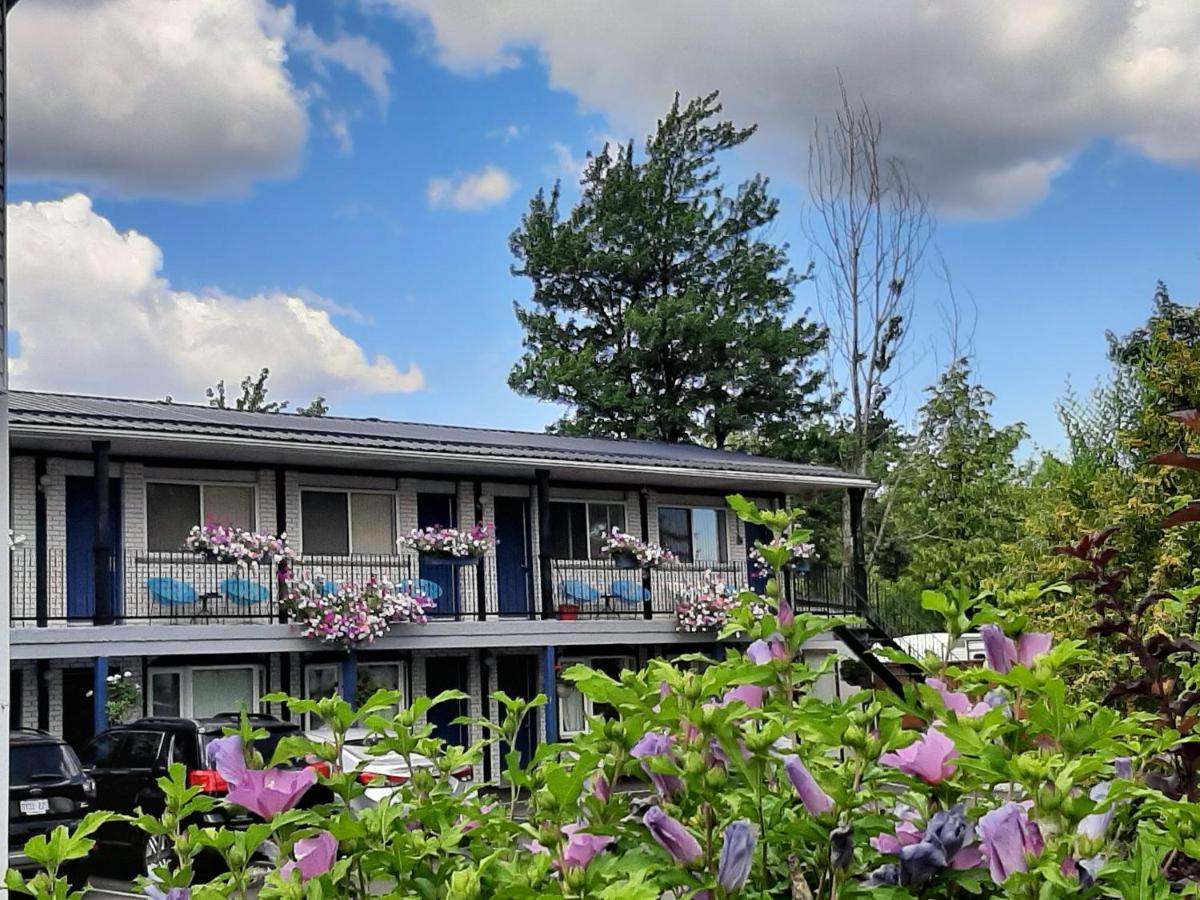 Blue Moon Motel Niagara Falls Ngoại thất bức ảnh