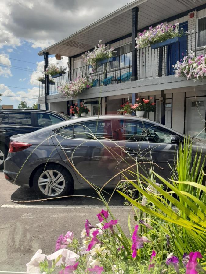 Blue Moon Motel Niagara Falls Ngoại thất bức ảnh