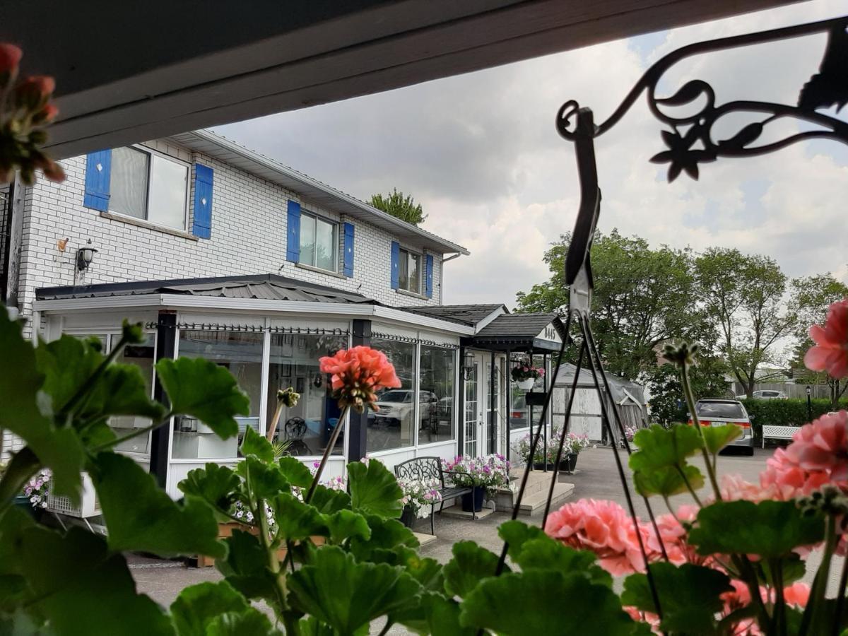 Blue Moon Motel Niagara Falls Ngoại thất bức ảnh