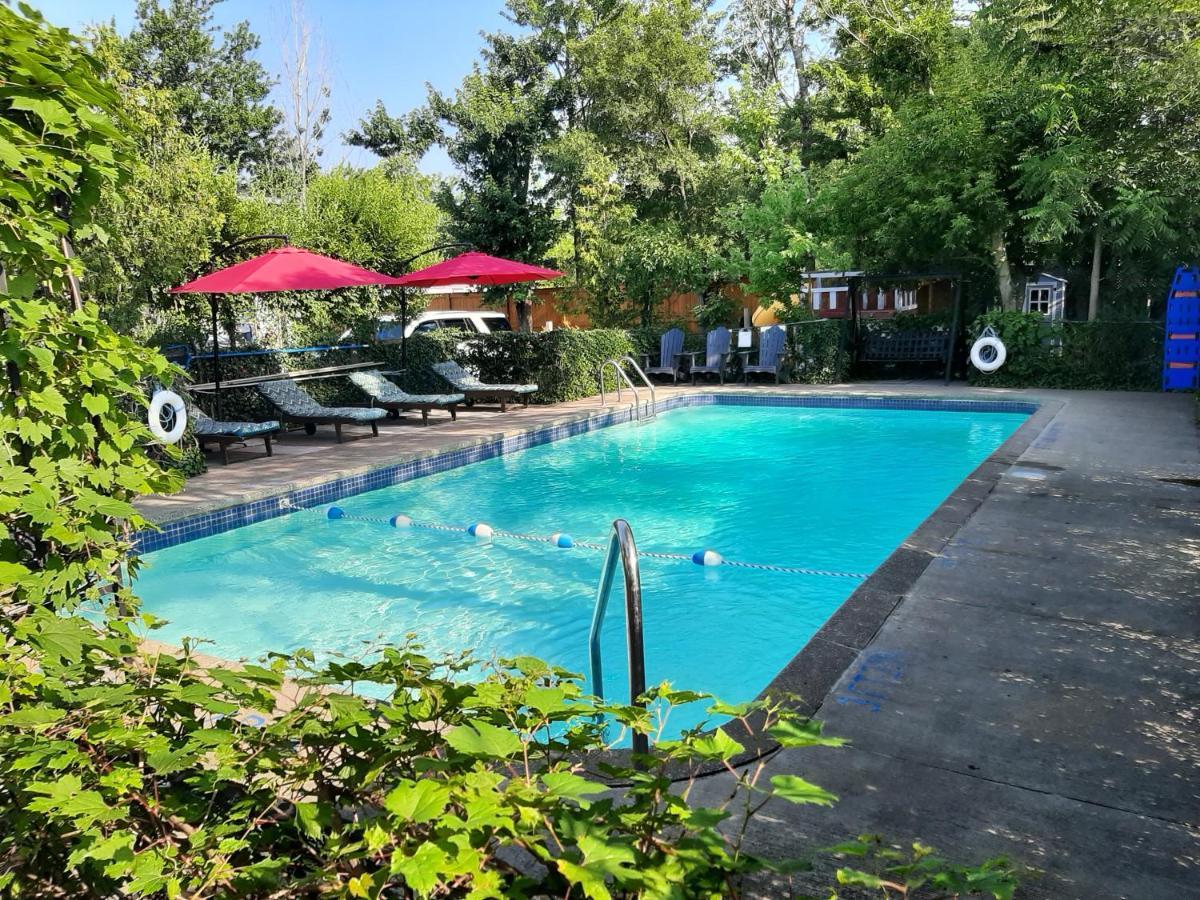 Blue Moon Motel Niagara Falls Ngoại thất bức ảnh