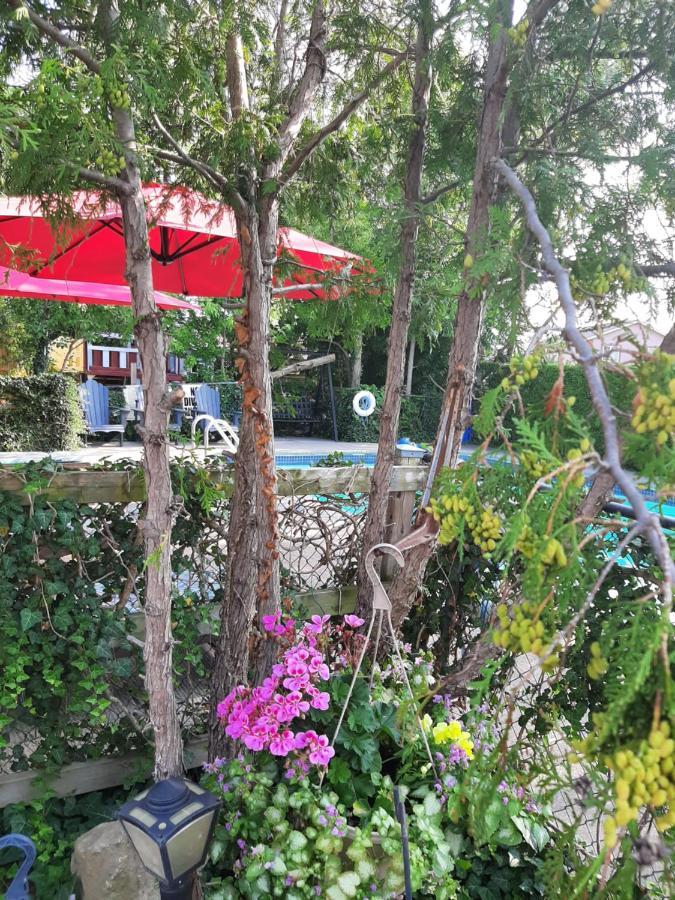Blue Moon Motel Niagara Falls Ngoại thất bức ảnh