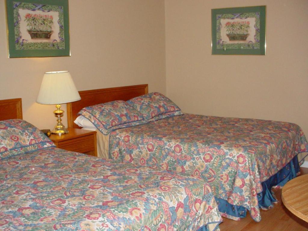 Blue Moon Motel Niagara Falls Phòng bức ảnh